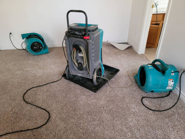 Best Local water damage restoration  in Stony Prairie, OH