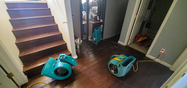 Best Water damage restoration near me  in Stony Prairie, OH