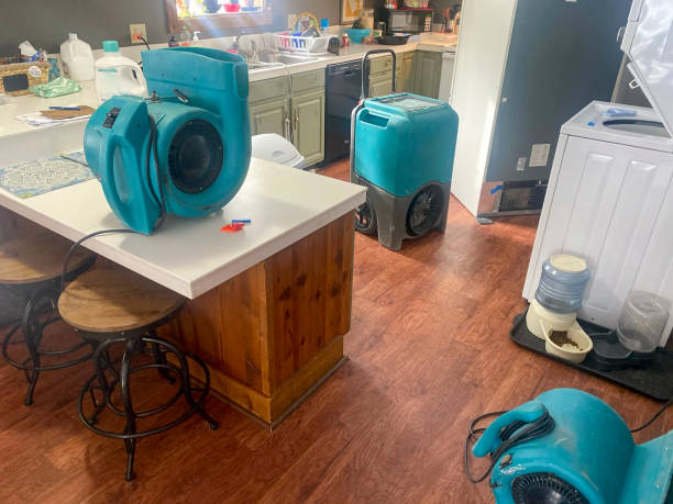  Stony Prairie, OH Water damage restoration Pros