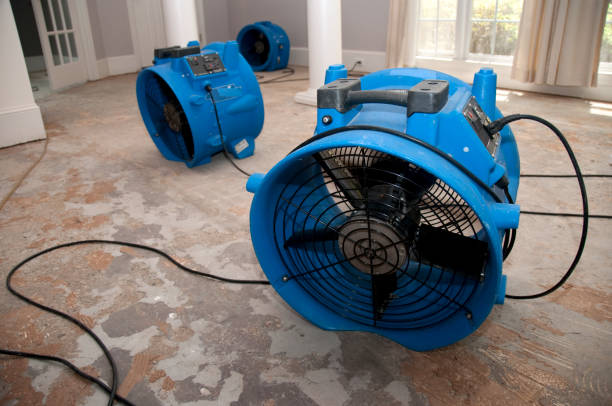 Best Carpet water damage restoration  in Stony Prairie, OH