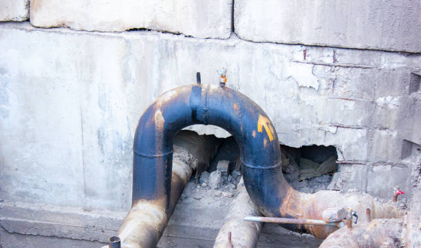 Best Professional water damage repair  in Stony Prairie, OH