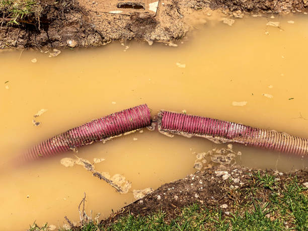 Best Emergency water extraction  in Stony Prairie, OH