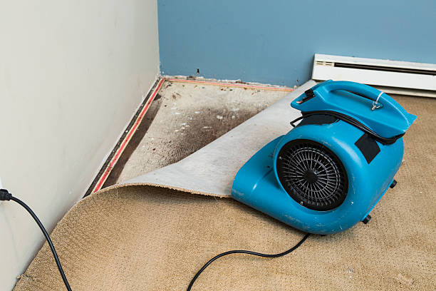 Best Emergency water damage restoration  in Stony Prairie, OH
